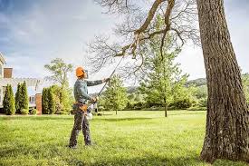 Trusted Woodfin, NC Tree Removal and Landscaping Services Experts